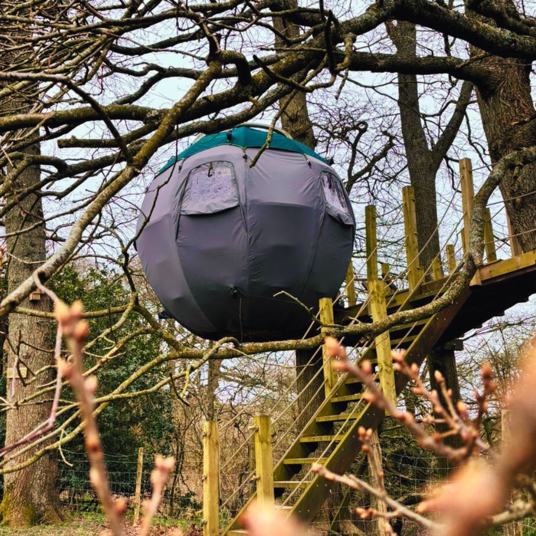 TreeTents's tweet image. We&apos;ve given this #TreeTent a much-deserved spruce up ✨

We wanted to see what happens when left to the elements...
9 years on, vibrant lichen had made the tent&apos;s facade look right at home, whilst the structure remains strong, secure &amp;amp; waterproof. 
buff.ly/3PsBsPP