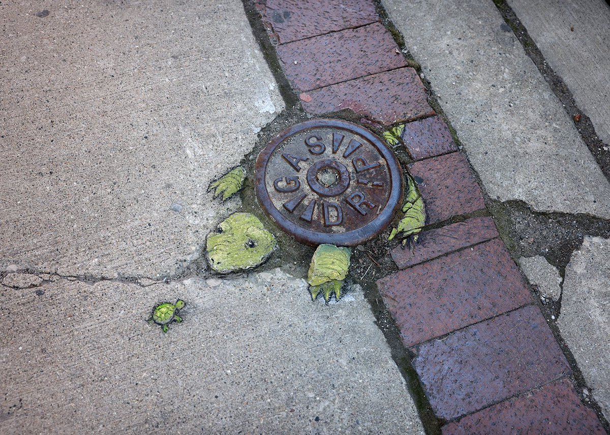 Visiting with Grandma #streetarteverywhere #chalkart #turtle #familyreunion