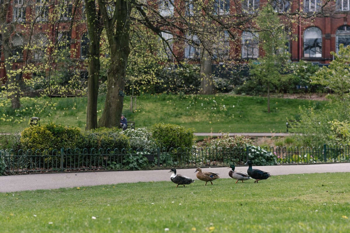 📢Two days for #EAMT2024 papers and tutorials deadline: 22/03☠️ 🚨 Authors: create an account at openreview.net asap to avoid missing the deadline! ⭐️More info: eamt2024.sheffield.ac.uk/conference-cal… A pic of one of our many inner city parks to call attention! #NLProc #MT