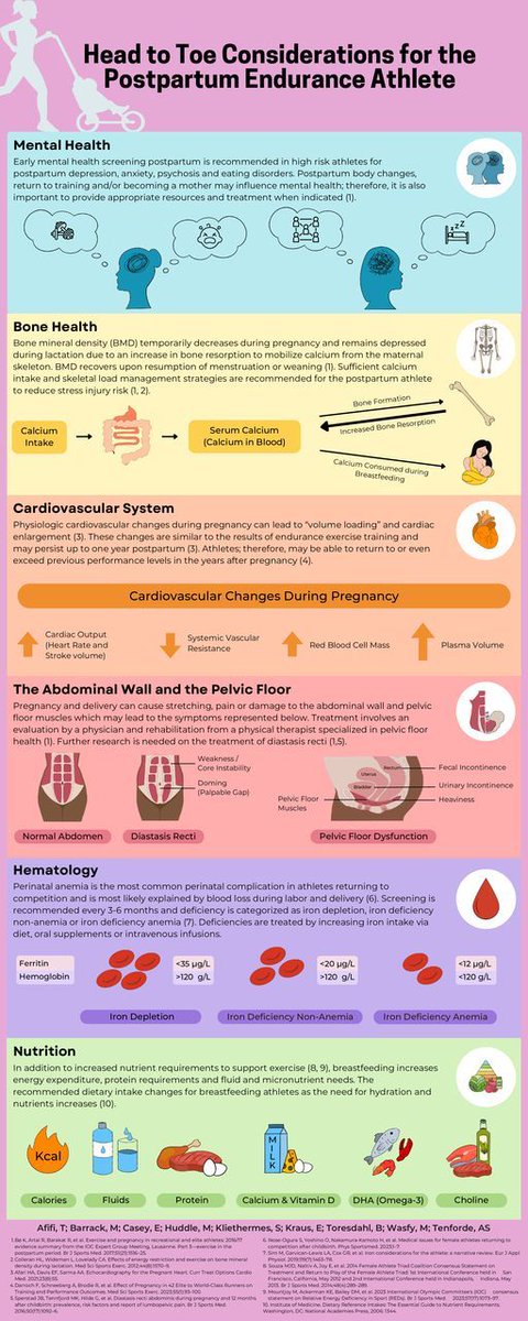 ⚠️ Head to toe considerations for the postpartum endurance athlete 🤰 🏃‍♀️ Fantastic new #Infographic covering: 🧠 Mental health ✅ Bone health ❤️ Cardiovascular system 💪 Pelvic floor 🔴 Haematology 🌭 Nutrition Read more ➡️ bit.ly/4cbudFx