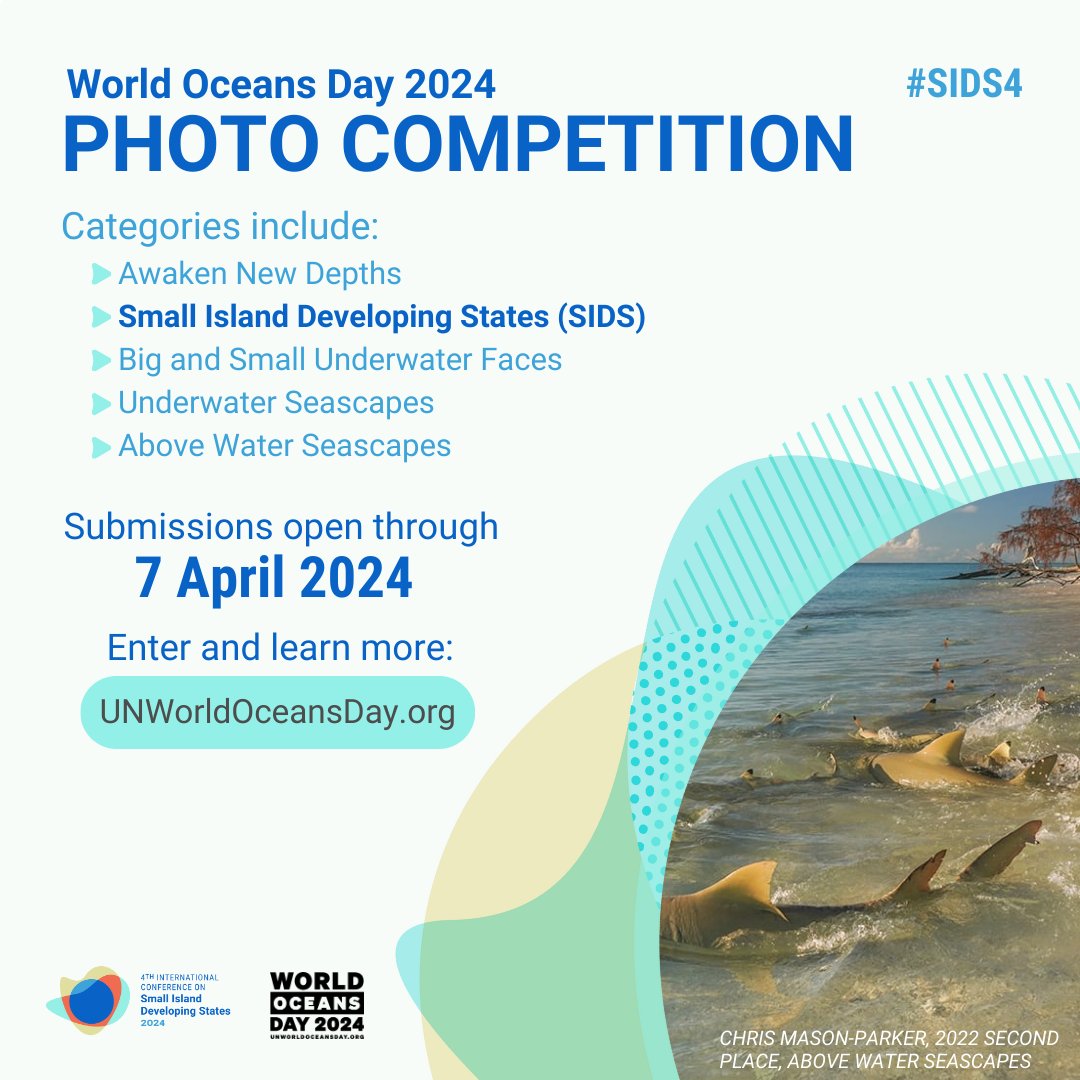 📣 Calling all photographers!

🤿 This year’s #UNWorldOceansDay photo contest includes a special category showcasing the beauty of #SmallIslands! Entries may have a chance to be displayed at the #SIDS4 conference.

➡️ Learn more and enter by 7 April: unworldoceansday.org