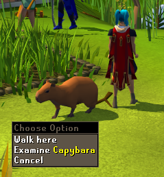 <a href="/CAPYBARA_MAN/">CAPYBARA MAN</a> we made it