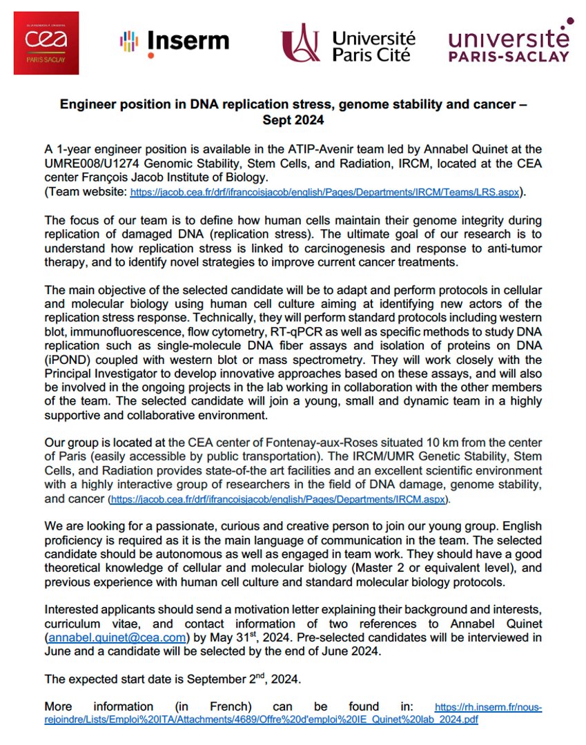 Our team is recruiting! We are looking for an engineer to join us in our quest after the molecular mechanisms of replication stress response in human cells. Position funded for 1 year, starting in Sept. 2024. More info: shorturl.at/izAHQ