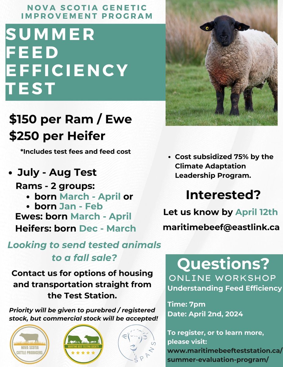SheepProducersAssociationNovaScotia (@novascotiasheep) on Twitter photo The Maritime Beef Testing Society, with SPANS & <a href="/NSCattle/">Nova Scotia Cattle Producers</a>, are looking to hold a Summer Feed Efficiency Test, for rams, ewes & heifers.
Curious? Register for the Understanding Feed Efficiency webinar April 2nd @ 7pm.
To register or for more info visit: shorturl.at/rty49 The Maritime Beef Testing Society, with SPANS & <a href="/NSCattle/">Nova Scotia Cattle Producers</a>, are looking to hold a Summer Feed Efficiency Test, for rams, ewes & heifers.
Curious? Register for the Understanding Feed Efficiency webinar April 2nd @ 7pm.
To register or for more info visit: shorturl.at/rty49