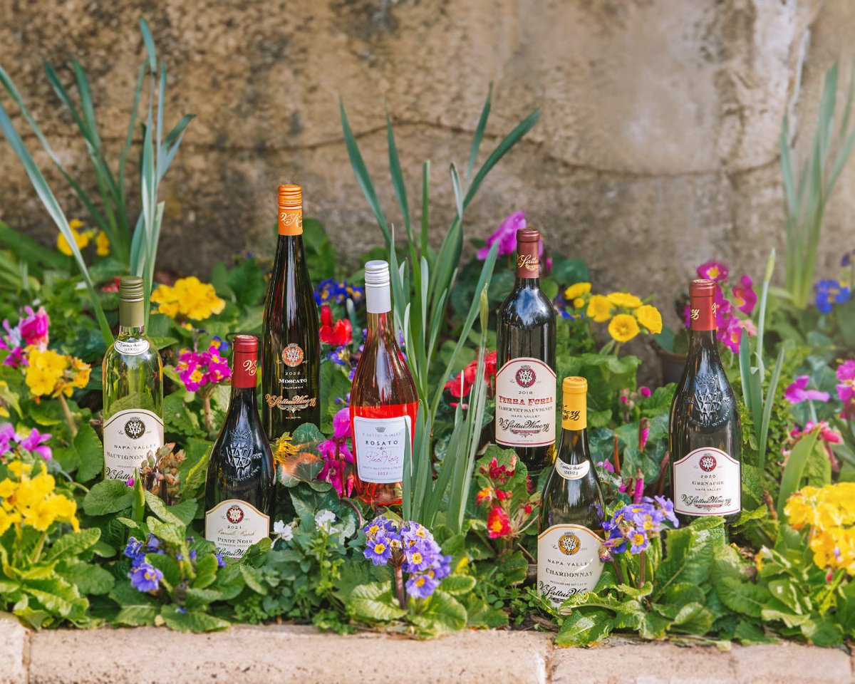 📣 PSA: #spring has sprung! And we're diving head first into this season's most-loved sips!🍷 Join the celebrations with our perfectly curated collection, plus: 🚚 $15 SHIPPING on 6+ bottles 🍇 25% OFF 12+ bottles, mix-or-match Shop now at bit.ly/3TSDxY5 #vsattuiwine