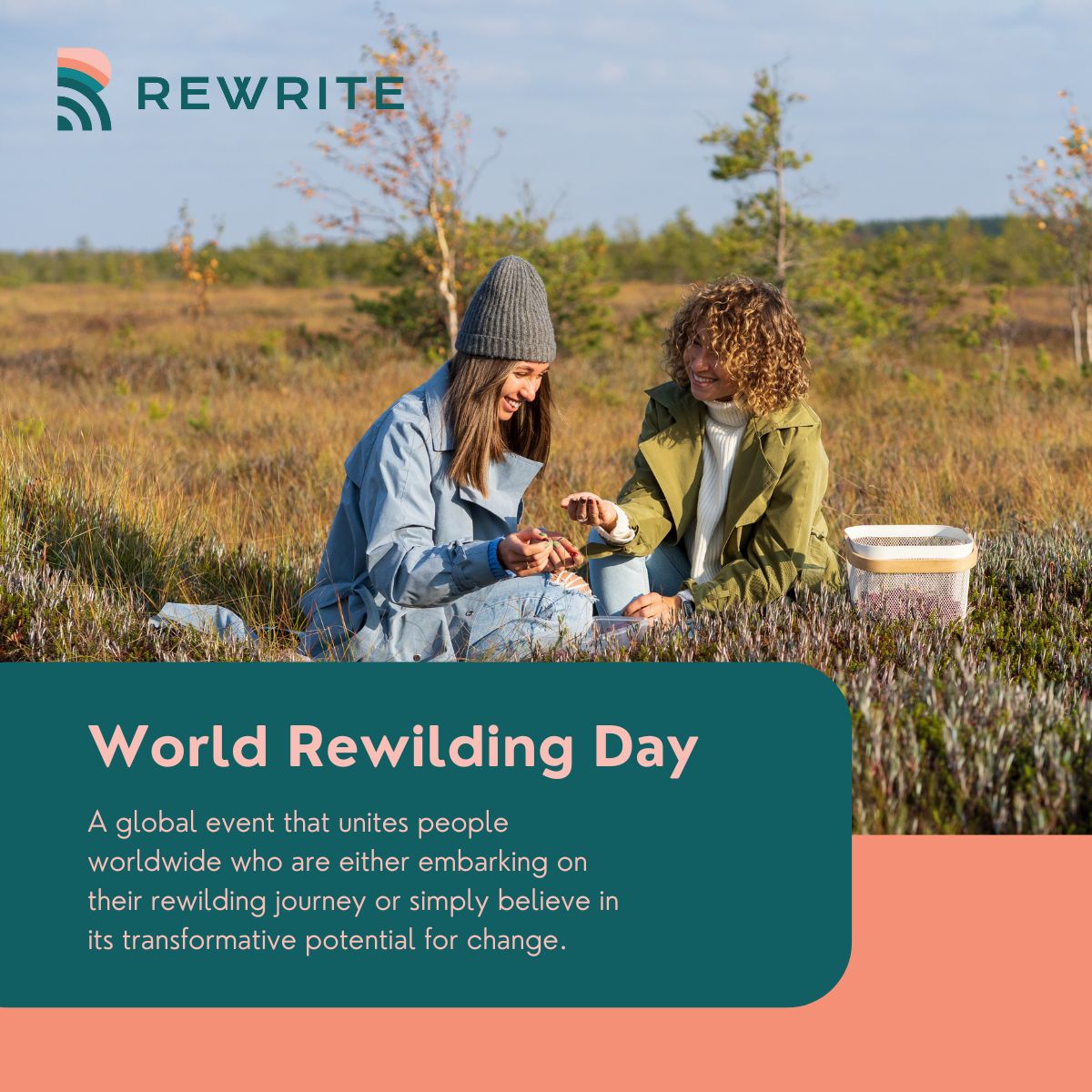 🌿 Embrace the power of #rewilding & join us in celebrating #RewildingDay.

Discover how projects like REWRITE are leading the charge in restoring 🇪🇺's coastal ecosystems and bringing hope to our planet.

Read more in our latest blog: bit.ly/3vnbOoP
#HopeIntoAction 🌊