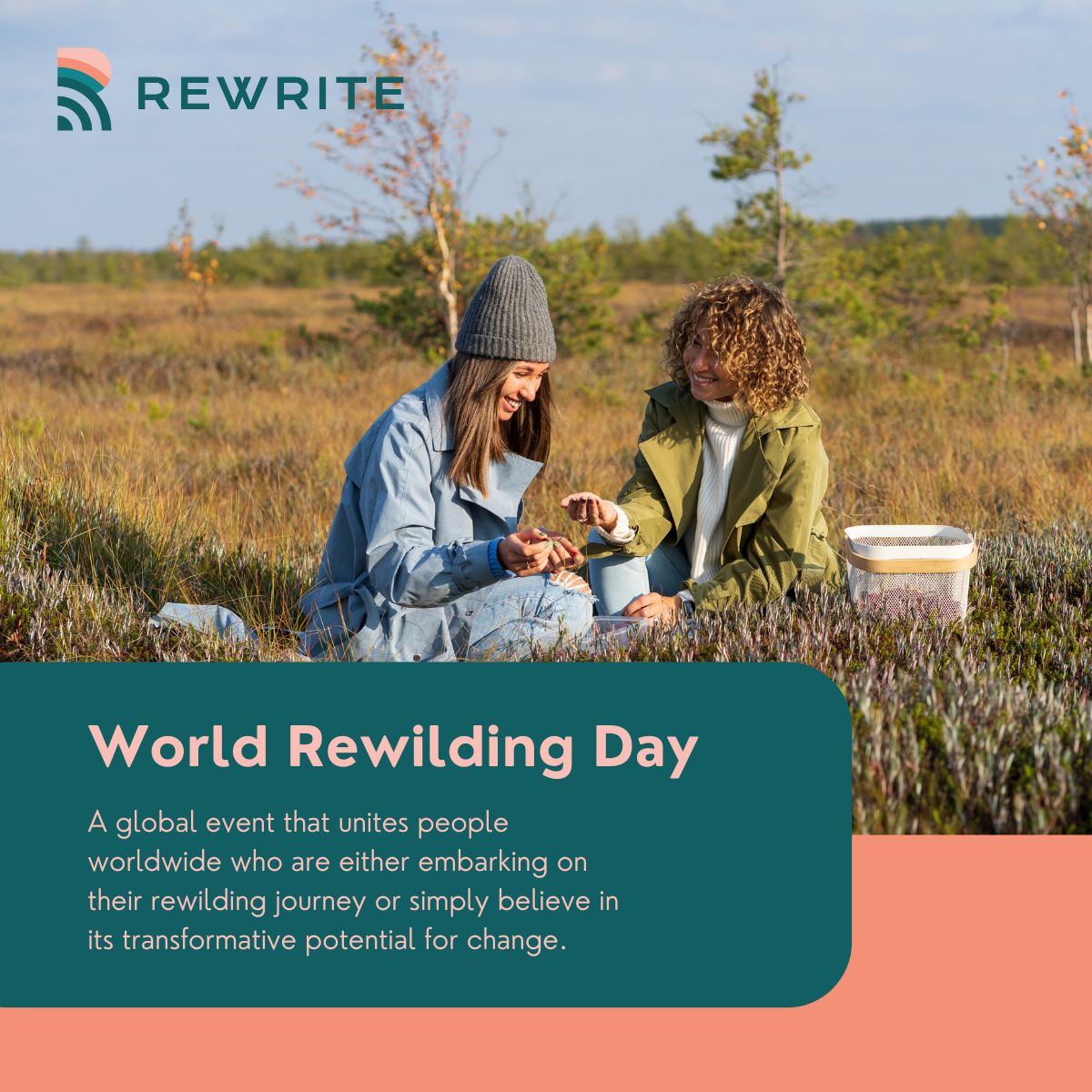 🌿 Embrace the power of #rewilding &amp; join us in celebrating #RewildingDay.

Discover how projects like REWRITE are leading the charge in restoring 🇪🇺's coastal ecosystems and bringing hope to our planet.

Read more in our latest blog: bit.ly/3vnbOoP
#HopeIntoAction 🌊