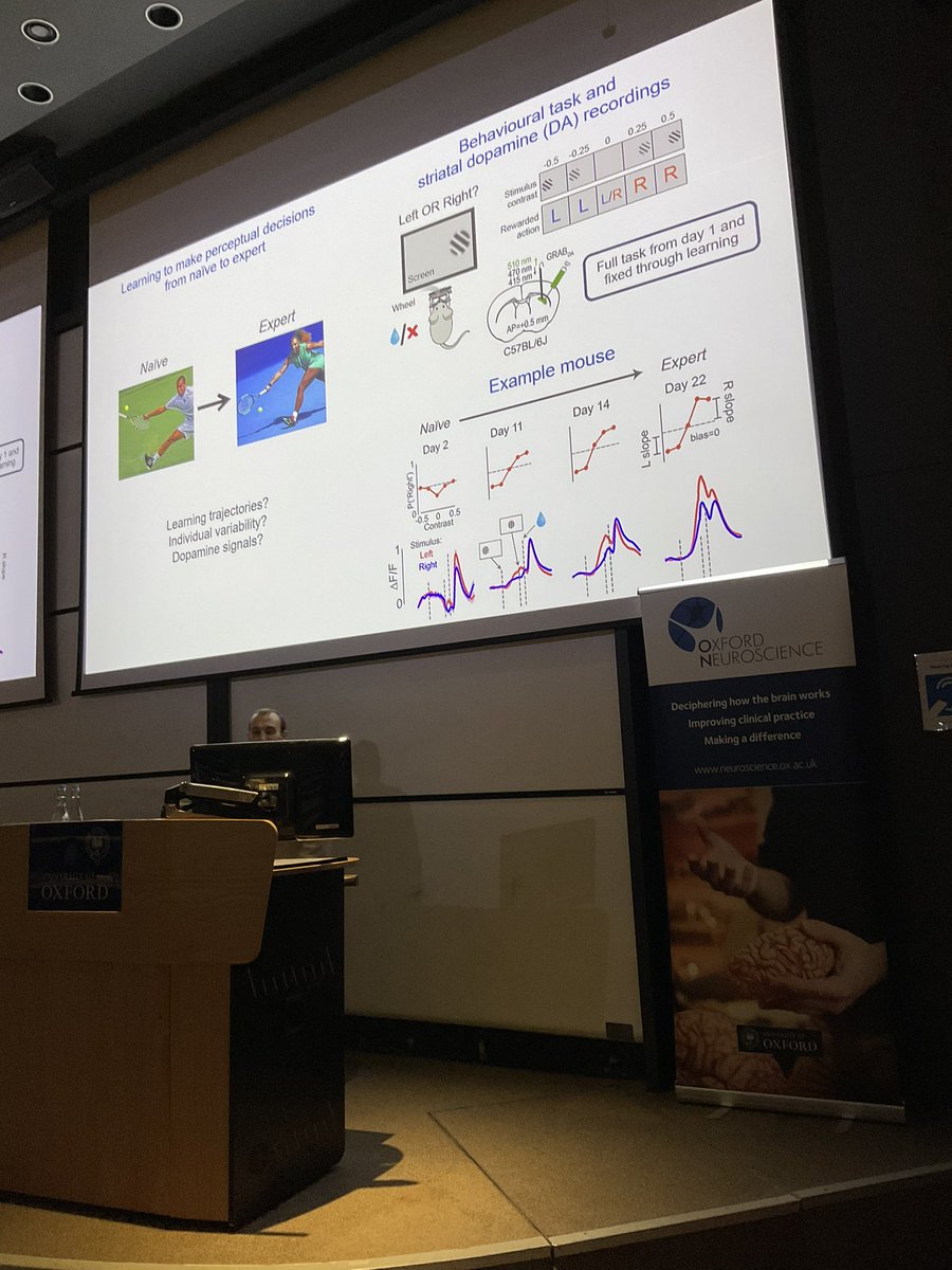 Oxford Neuroscience (@oxneuro) on Twitter photo This is Samuel Liebana Garcia from <a href="/OxfordDPAG/">Department of Physiology Anatomy & Genetics (DPAG)</a> on Striatal dopamine reflects individual long-term learning trajectories #OxNeuro2024 This is Samuel Liebana Garcia from <a href="/OxfordDPAG/">Department of Physiology Anatomy & Genetics (DPAG)</a> on Striatal dopamine reflects individual long-term learning trajectories #OxNeuro2024