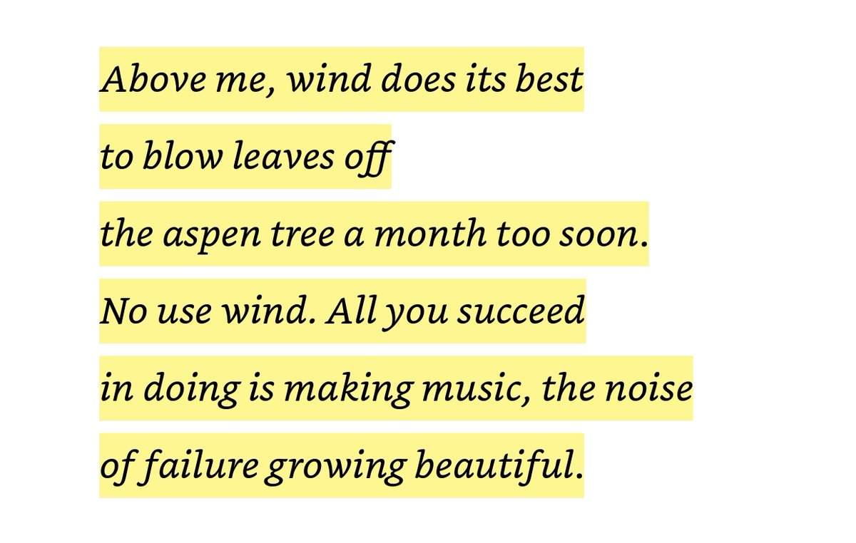 bhatiadisha08's tweet photo. Adding this to my favourite poems folder ✨ https://t.co/faQSJ0P2o5