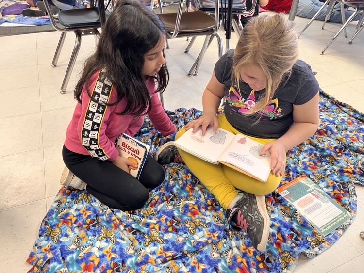 WeareMiddletown's tweet photo. Aquidneck School - Reading week is in full swing at Aquidneck! Monday was team up for reading.  Different grade levels teamed up to share the love of reading! https://t.co/peXfNGqwrT