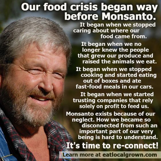 😢😢😢😢😢

#Monsanto 
#pesticides 

It's time to re-connect!

#SaveOurFood
#SaveOurEarth

🚜🚜🙏🚜🚜