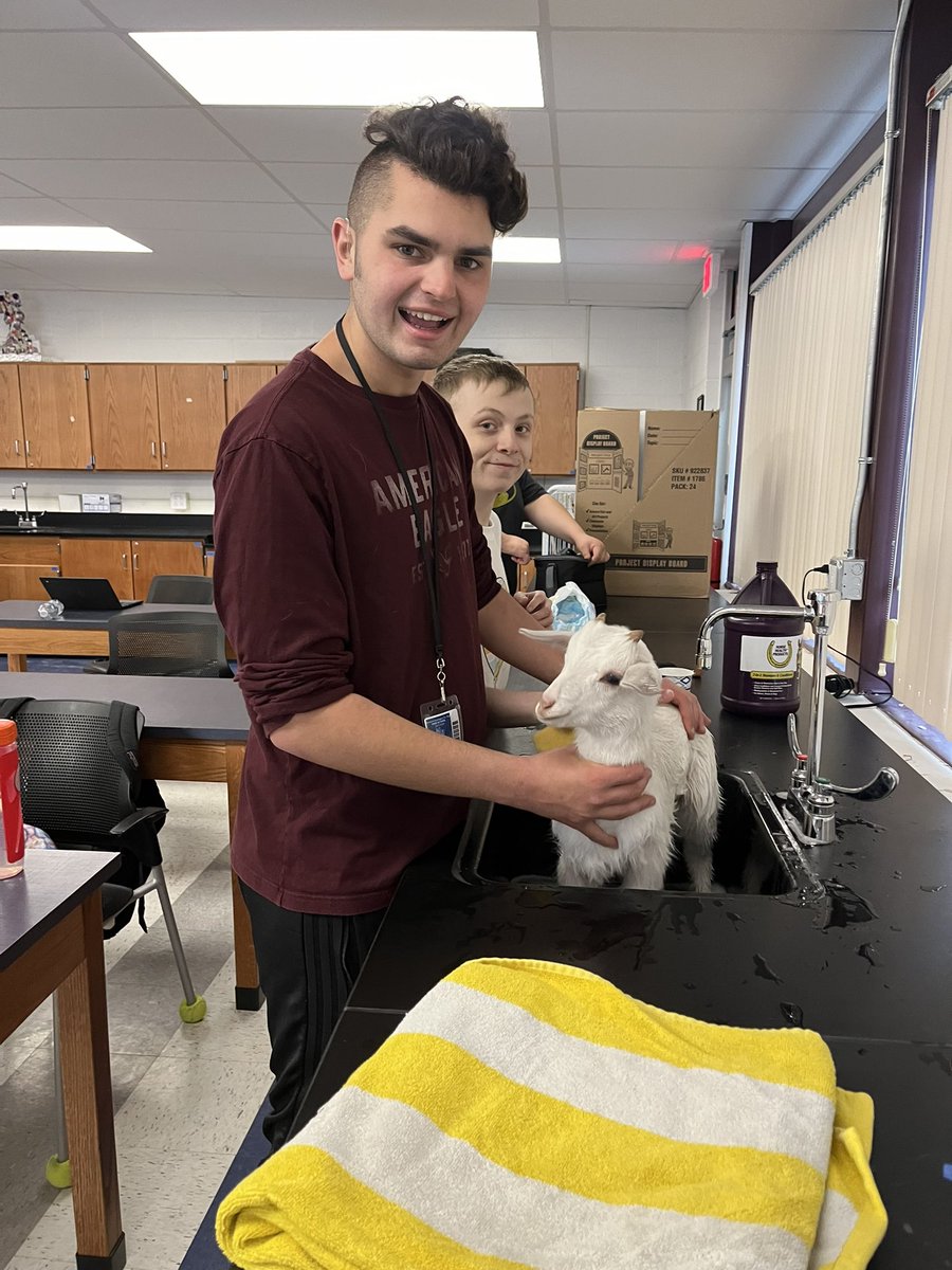 KRKester's tweet photo. Lots of fun in #IntroToAnimalScience! Students are learning how to measure the height of a horse! Mini is 34 inches tall. How many hands would that be?
Students also assisted in bathing Bert!
@azuck1 @amystellanbc @nbc_hsprincipal @EmerMatt @NBC_FFA https://t.co/YDw6UtRIA5