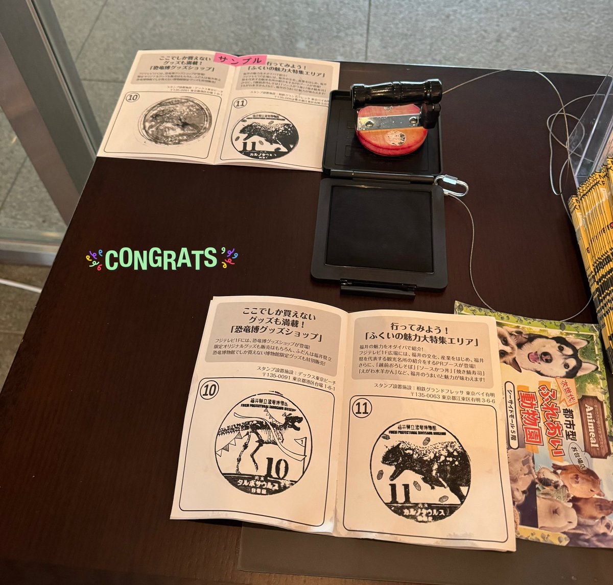 PaulMerza's tweet photo. #オダイバ恐竜博覧会2024  へ行ってきました❗️ ううっ…人、人　何をするにも並んでいました。寒くて風邪ひきそうに🥶とは言え迫力のスピサウルスロボットは必見！
　🦕をイメージしたメガネやランドセル。カッコいい‼️
　時々冷たい☔️に濡れながらも、必死に集めたスタンプラリー！お疲れっした〜😂 https://t.co/JatW9cCy10