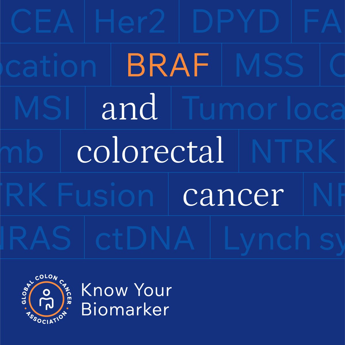 BRAF is a predictive biomarker which means it gives information about which treatments will work best for a particular cancer. Learn more about BRAF at gcca.info/KYB_BRAF_ #linkinbio #knowyourbiomarker #colorectalcancer #braf #brafv600e