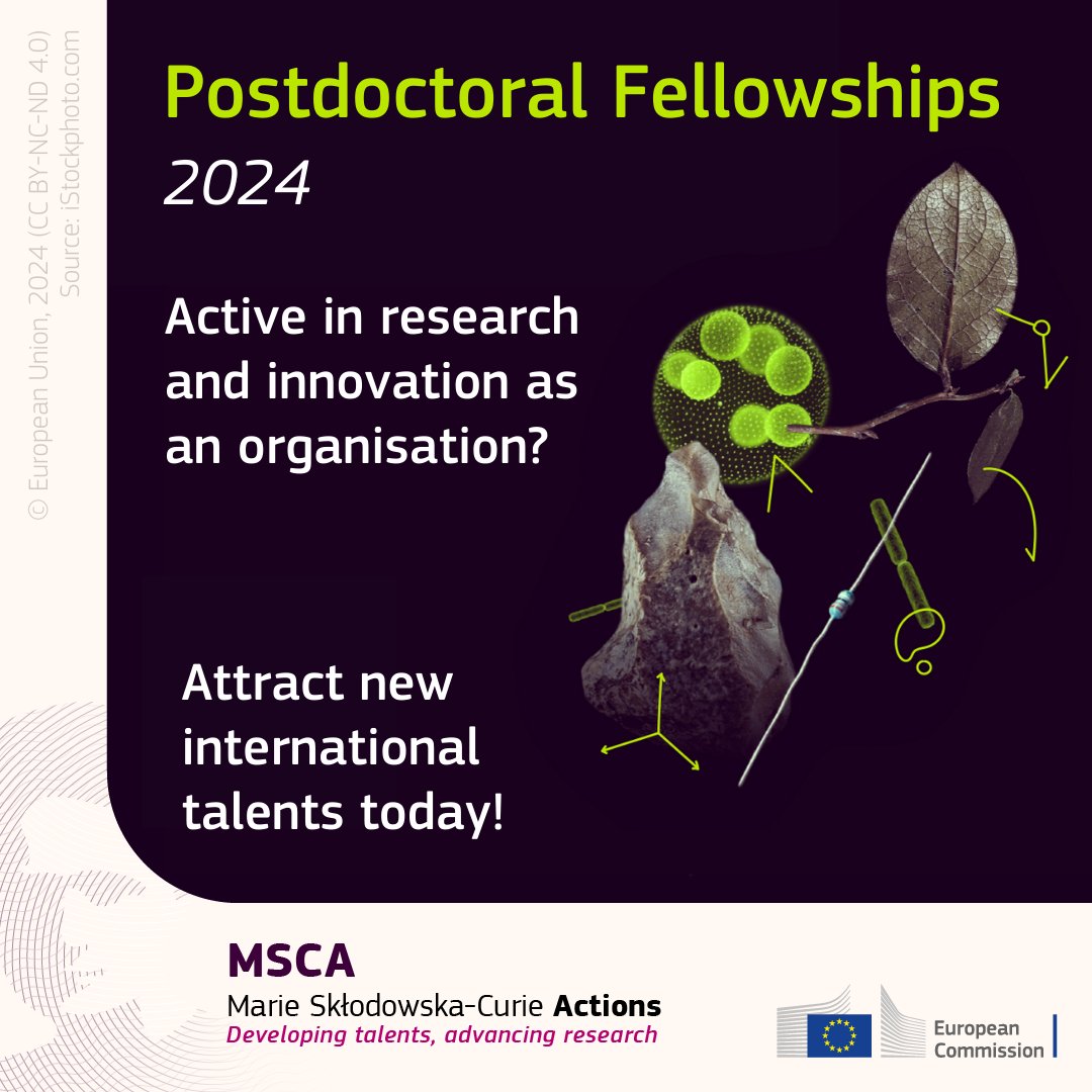 Integrate new international talents within your team — Attract researchers with our 2024 #MSCA Postdoctoral Fellowships call: ✅Post your offers on Euraxess: europa.eu/!bWNpMh ✅ Connect with researchers & apply together! More: europa.eu/!pmYvdr