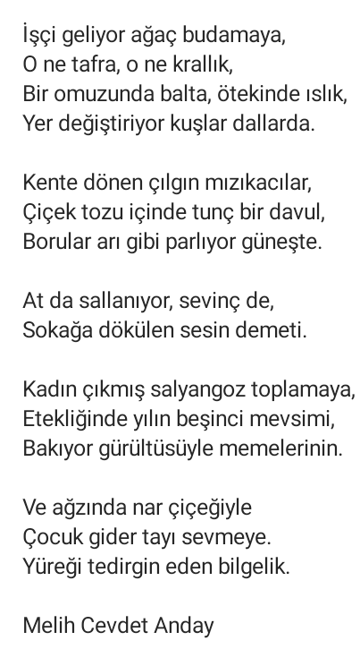 mhmetagar's tweet photo. Ve ağzında nar çiçeğiyle
Çocuk gider tayı sevmeye.
Yüreği tedirgin eden bilgelik.

Melih Cevdet Anday https://t.co/HtgHeTmkRA