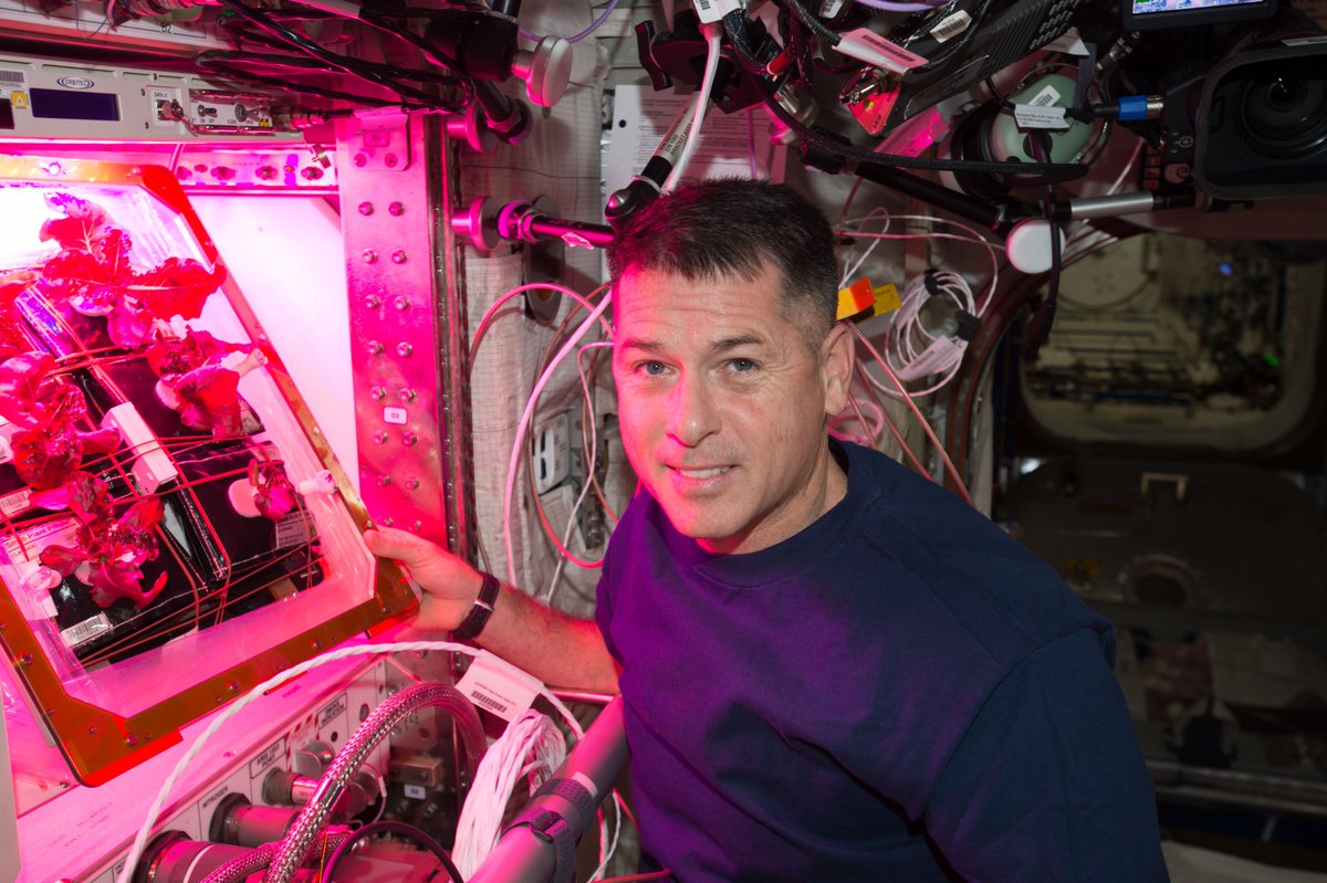 Researchers found that the ways crops are grown and harvested in microgravity influence their yield and nutritional content. These findings increase our understanding of the requirements for growing high-quality crops in spaceflight. doi.org/10.1080/174291…