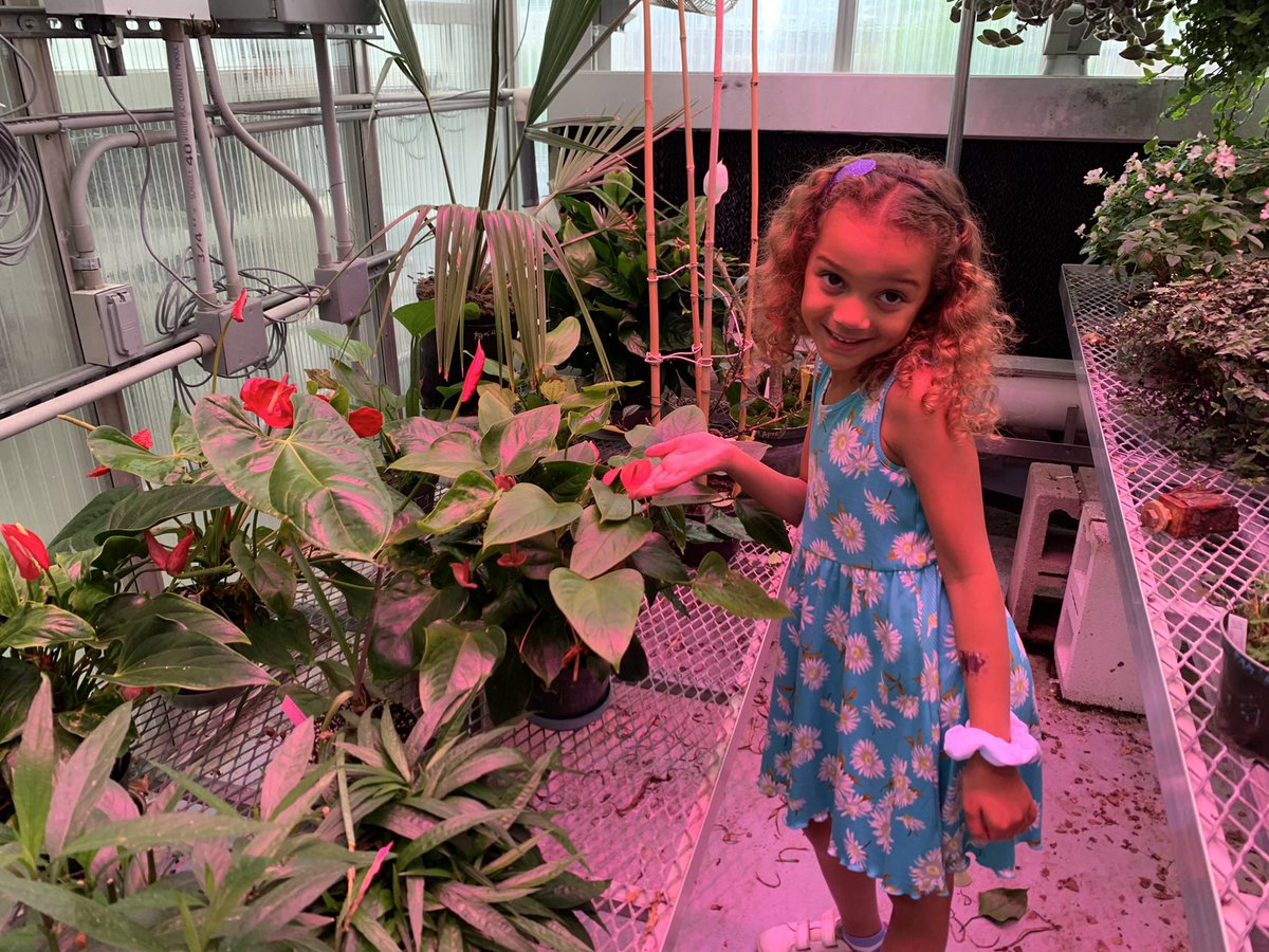 Just hanging out in the Life Sciences Building <a href="/WVUHonors/">WVU Honors College</a> #WVUDayofGiving