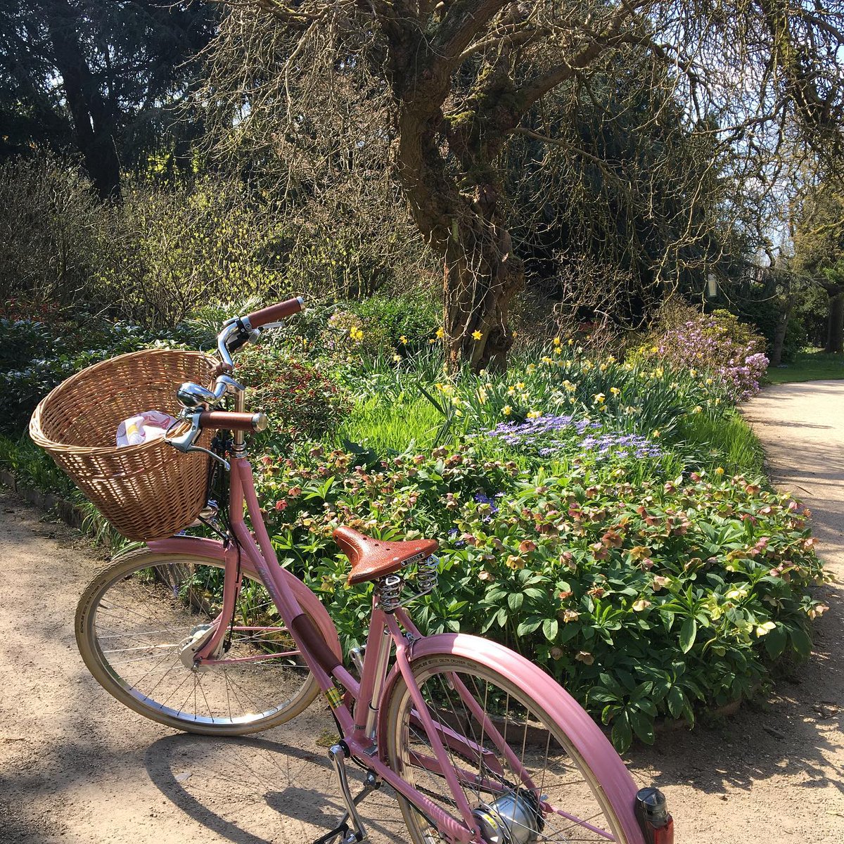 A blooming beautiful image well worth a re-share to celebrate the Spring Equinox here in the UK, from our friends at Blooms & Bicycles🌷 The road ahead brings longer days and sunnier skies! #Pashley #HelloSpring #Britishbicycles #Lovecycling #Adventureawaits