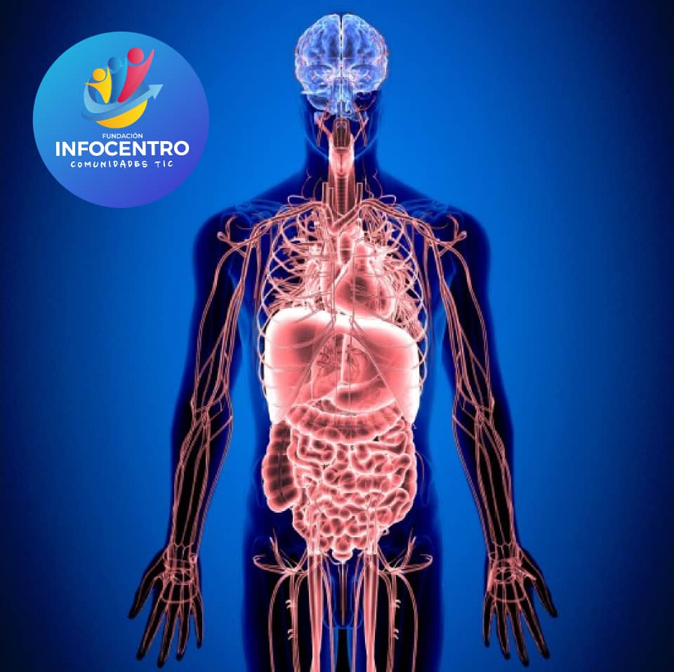 ZuliaInfocentro's tweet photo. La Homeostasis es el conjunto  de fenómenos de autorregulación, que conducen al mantenimiento de la  constancia en la composición y propiedades del medio interno de un  organismo.
@Gabrielasjr 
@luisinfoVen 
#EpocaDeTransformacion https://t.co/tIZIatqNAV