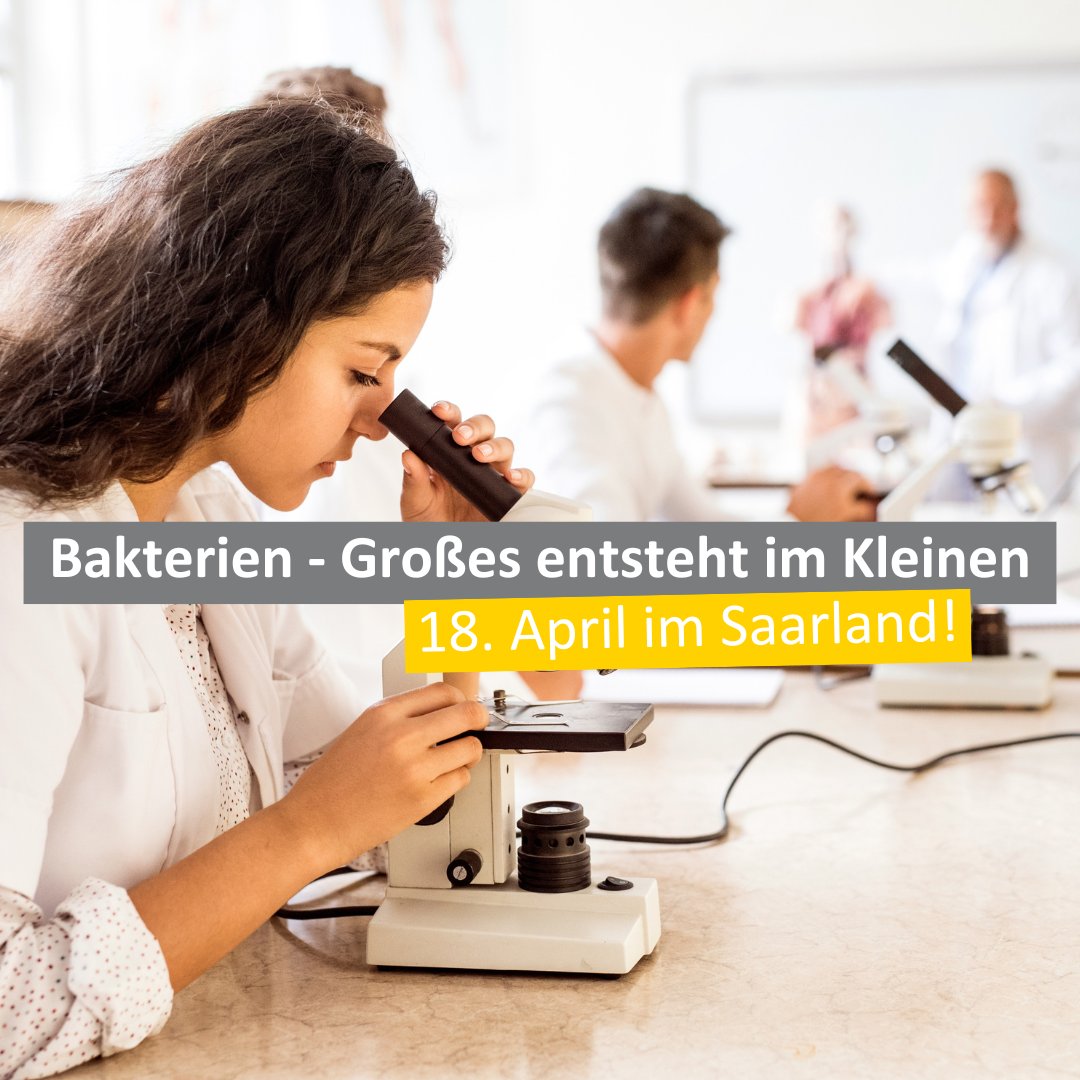 🔬🦠 Am 18. April dreht sich in Merzig-Wadern alles um Bakterien. 📅 Lerne durch Experimente über ihre Vielfalt! Von der Herstellung von Nährmedien bis hin zu Tests zur Antibiotikaresistenz - wir haben ein vielseitiges Programm für dich. Sei dabei! 👉 mint-ec.de/veranstaltunge…