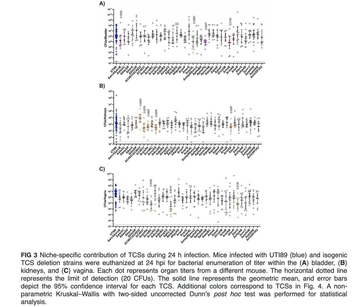 Let's talk about# UTI's and why: The Hadjifrangiskou Lab (@BacterialTalk) created a panel of two-component systems (TCS) that are critical for E. coli-mediated urinary tract infections. More in @JournalSpectrum loom.ly/i5x2loM