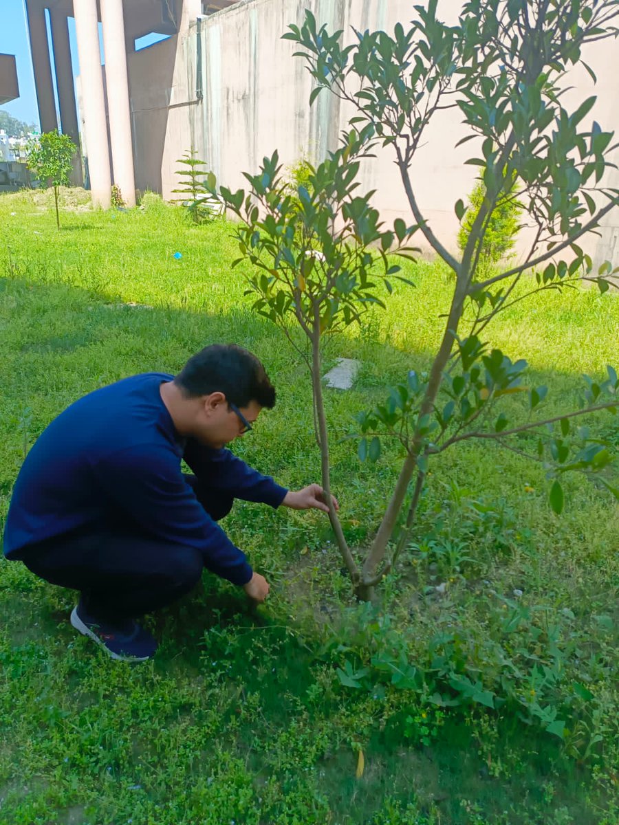 Kamaljuyal's tweet image. Live green and think green.🌴 🌲
promoting Social awareness for plantation .
Protect your Earth, Protect the Greenery. ☘️ 🌵🪴🌳🌾🪴
#saveecosystem