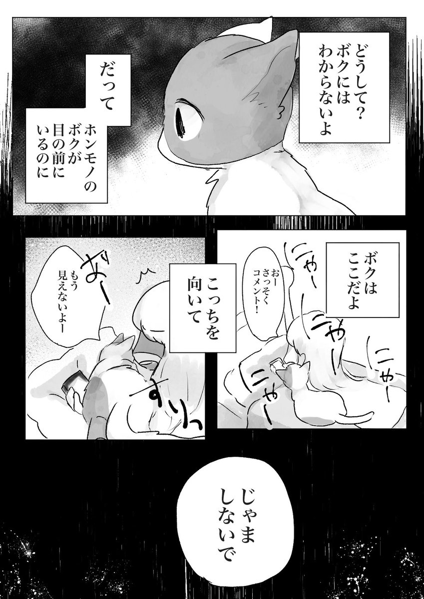 人間を魅了するハコとネコ(2/2) 