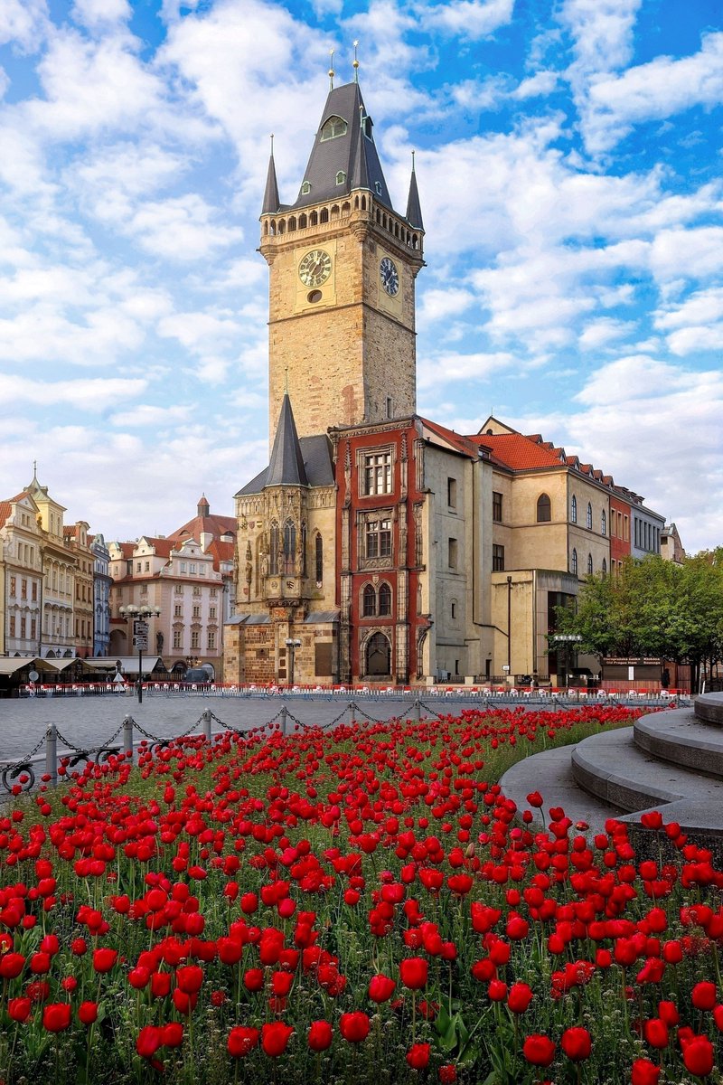 🌷🌼🌹 Prague is in full bloom as the astronomical spring with the vernal equinox begins this morning. Enjoy the Easter vibes around the city & visit traditional Easter markets 🐣 👉 prague.eu/en/easter 📸 Klára Hášová