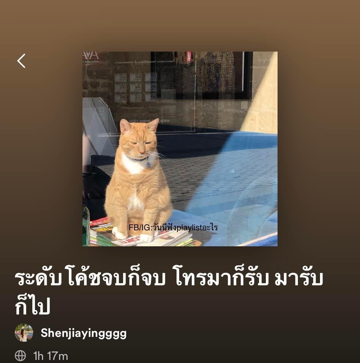 sutiฯ tweet media