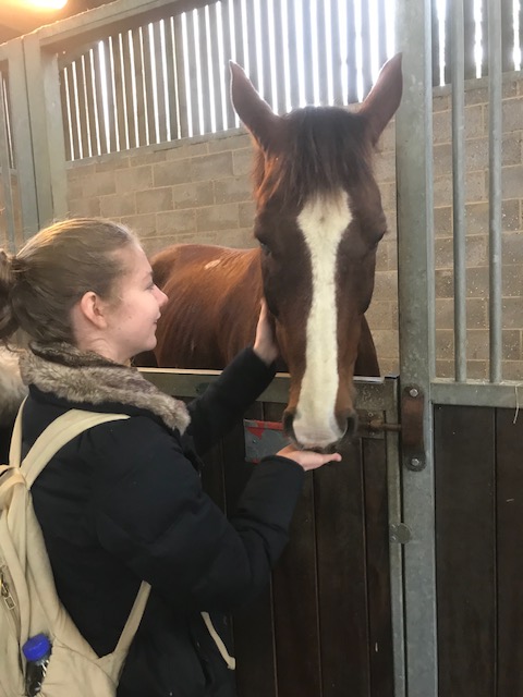 📣Fancy having a taste of life as a vet student at Cambridge? Places for our annual residential course - VetCam - this April, are going fast! More info and to book👇🏽onlinesales.admin.cam.ac.uk/conferences-an… #BeACambridgeVet @Cambridge_Uni #vetstudents