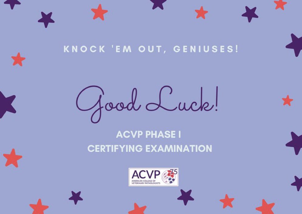 Day 2 vibes!! Please join us in sending good luck wishes to our fabulous candidates across the world who are taking the ACVP Phase I Certifying Examination today. We saved you all some lucky 4-leaf clovers! 🍀🍀🍀