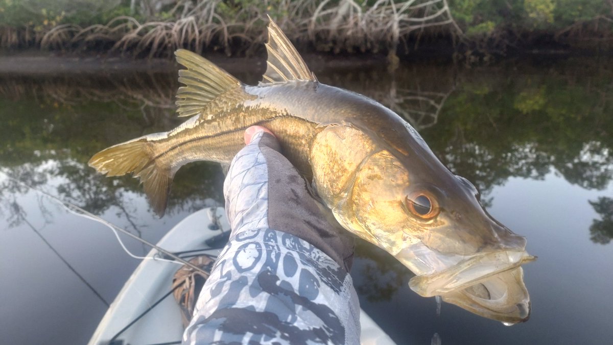 Jonathan Grey tweet media