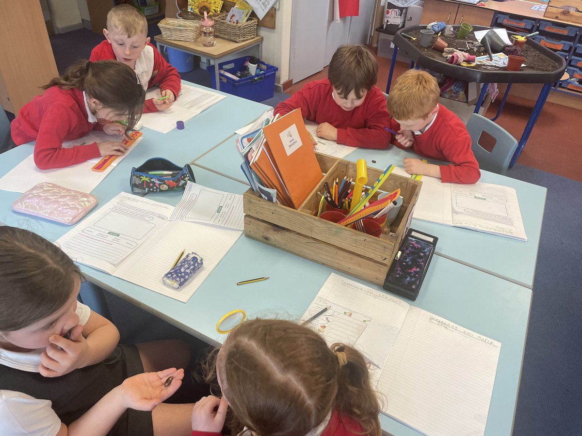 Year 2 using observational drawing skills  to draw a seed before adding scientific labels. Super! #Joeysscience @stjs_staveley