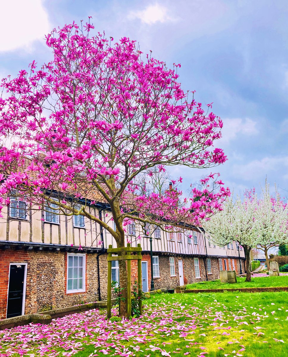 Springtime in Norwich. 
A beautiful City. 
#norfolk #Seriousinjury #cfgmorethanlaw