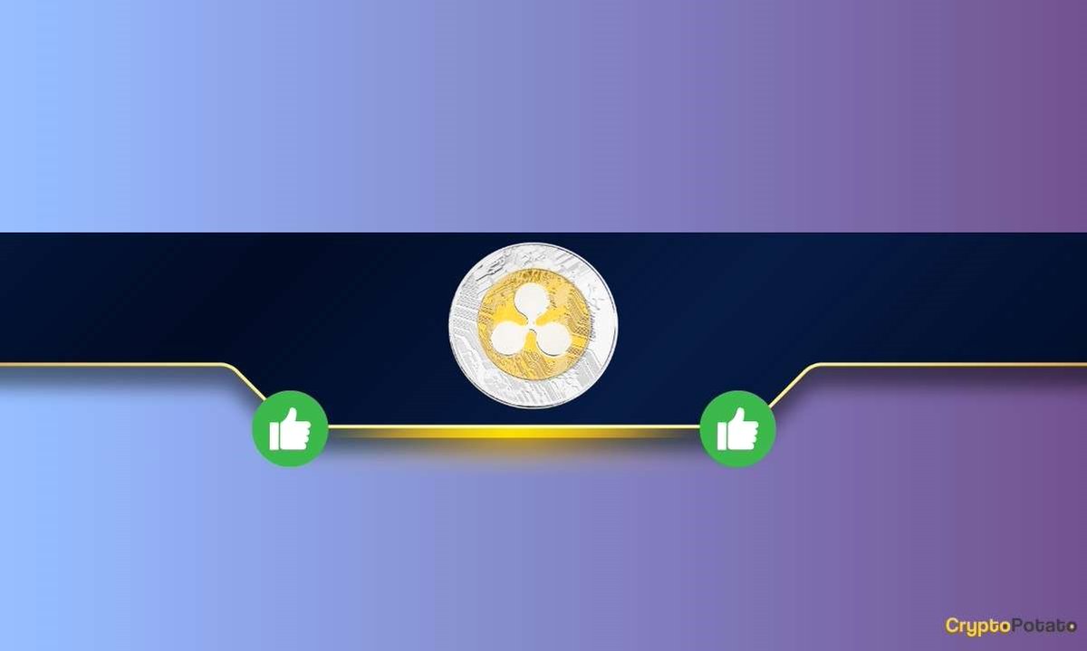 cryptocronology's tweet photo. #Ripple (XRP) Receives Support From This Leading #crypto
Exchange: Details
https://t.co/VwxDwt0tuo

@cryptocronology #cryptocurrency cryptomarketnews #crypto #trading https://t.co/8r1FrQ4qDP