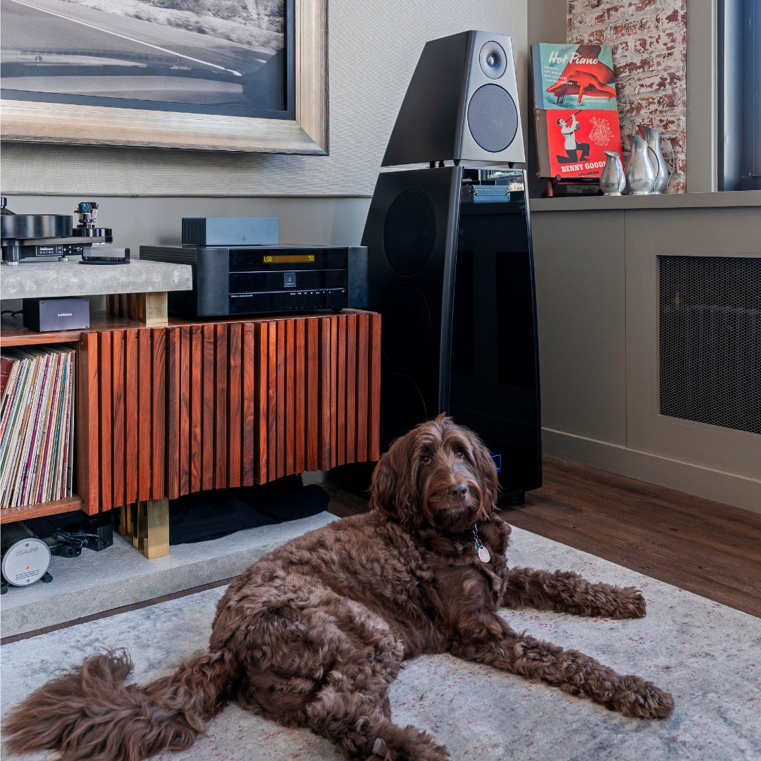 The dog is undoubtedly handsome, but look at that loudspeaker! 

#MeridianAudio #BritishAudioPioneers #HiResAudio #MadeInBritain #HandCrafted #HighPerformance #Audio #Sound #Audiophile #Loudspeaker #Powerful #Innovation #Immersion