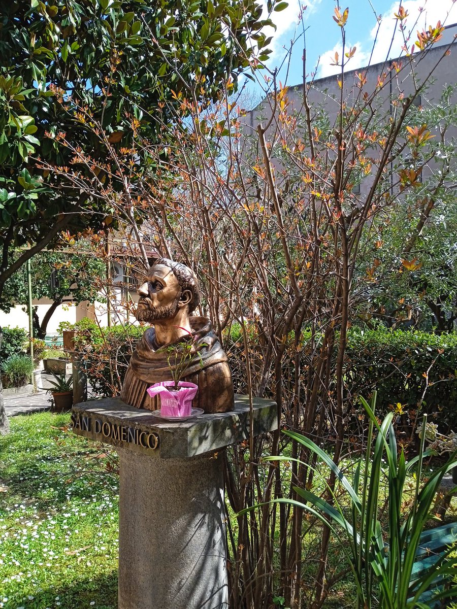 srmcarla's tweet photo. #ore15
#20Marzo
"Primavera d'intorno
brilla nell'aria, e per li campi esulta,
sí ch'a mirarla intenerisce il core" ha cantato il Leopardi.
Il nostro giardino davvero esulta. Solo i platani di Via Veneto, oltre il muro, tendono i loro rami ancora spogli nel bel cielo azzurro. https://t.co/X6OQvGl2Es