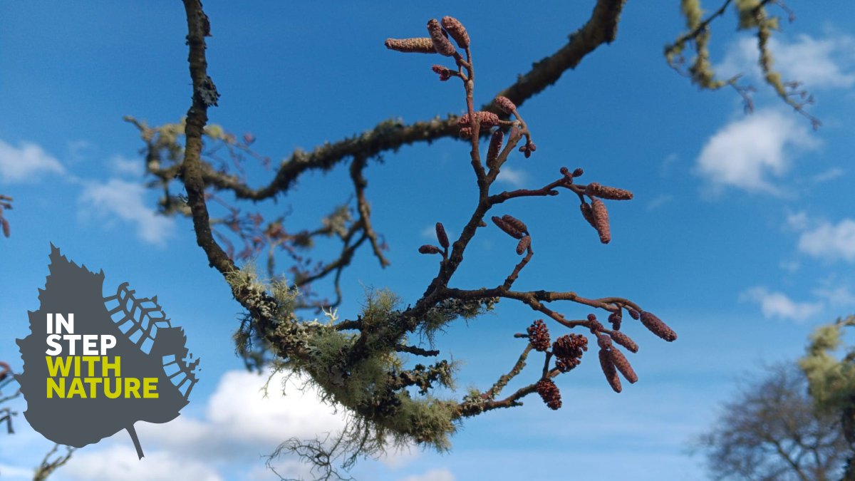 Trustinthepark's tweet photo. 🌷Happy Spring everyone! After a few warm, sunny days-we've finally made it through another Scottish winter!

🌸🌿Get #InStepwithNature with this weeks theme 'Buds, leaves &amp; blossom'.

Take a moment to stop, admire, feel the emotions through the new life emerging all around you! https://t.co/b20yBN8URV