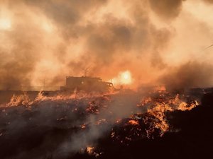Wildfire2024 – The UK Wildfire Conference Click here for more info fire-magazine.co.uk/wildfire2024-t… #cairngorms #wildfires #wildfire #conferences #firefighters #fireservice #volunteers #nature