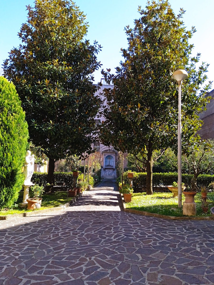 srmcarla's tweet photo. #ore15
#20Marzo
"Primavera d'intorno
brilla nell'aria, e per li campi esulta,
sí ch'a mirarla intenerisce il core" ha cantato il Leopardi.
Il nostro giardino davvero esulta. Solo i platani di Via Veneto, oltre il muro, tendono i loro rami ancora spogli nel bel cielo azzurro. https://t.co/X6OQvGl2Es