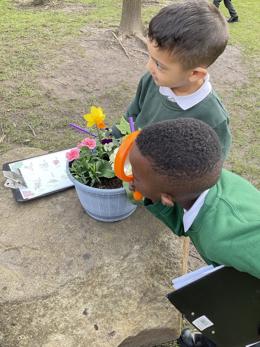 Reception have been working outside looking for signs of Spring. They had a wonderful time exploring in the sunshine ☀️🌺🍃🐞#beanexplorer