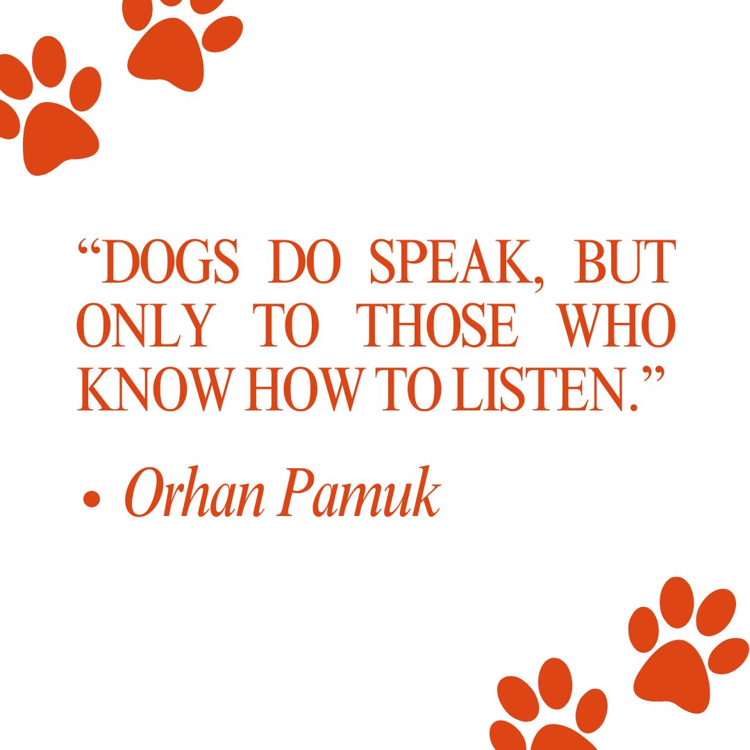 Dogs reveal their tales in a language understood only by those who possess the skill to listen and connect with the unspoken.
.
Visit bit.ly/BarkBustervall… to learn more.
.
#stephaniecurtis #puppytraining #valleydogtraining #inhomebehavioraltraining #caninecommunication