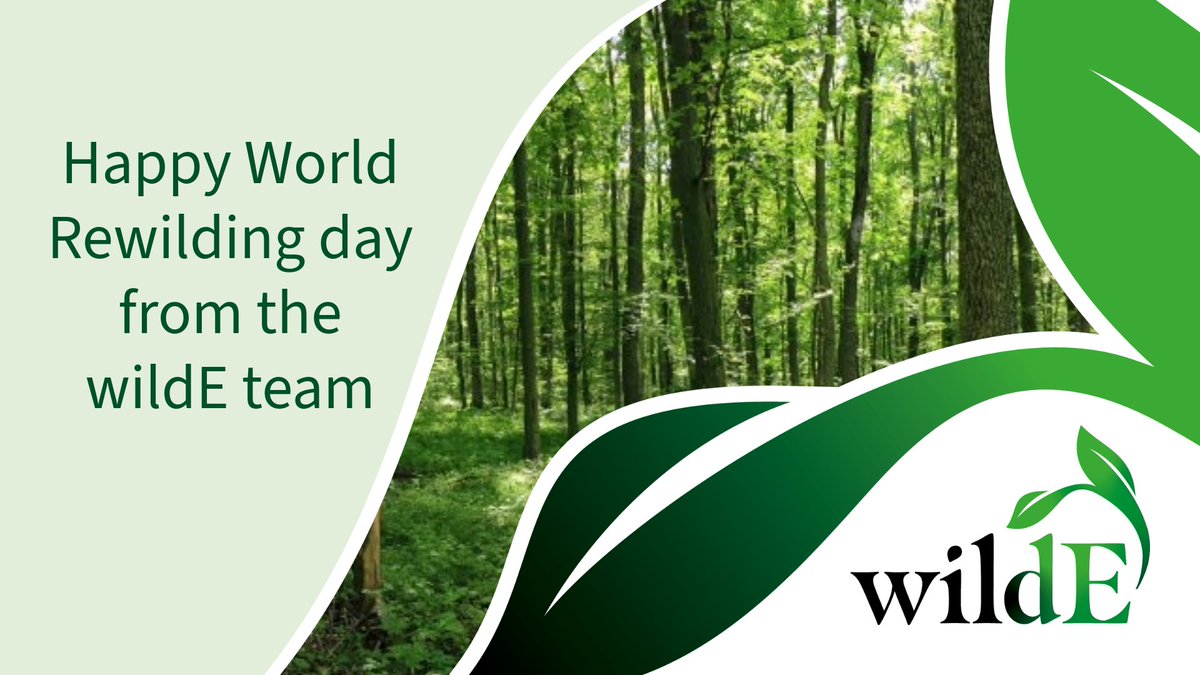 Happy #WorldRewildingDay!   

In wildE, our focus is 'climate-smart' rewilding. Our aim is to increase the benefits of rewilding while considering other environmental and societal needs.   

Find out more in our newsletter: wilde-project.eu/newsletter

#HopeIntoAction