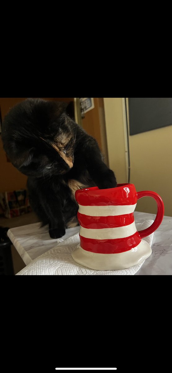 “I know some good games we could play,'
Said the cat.
'I know some new tricks,' Said the Cat in the Hat.
'A lot of good tricks.
I will show them to you. Your mother
Will not mind at all if I do” 😹📕

#cats #catsofx #HumpDay #Wednesdayvibe #catsinhats #books #mugs #DrSEUSS