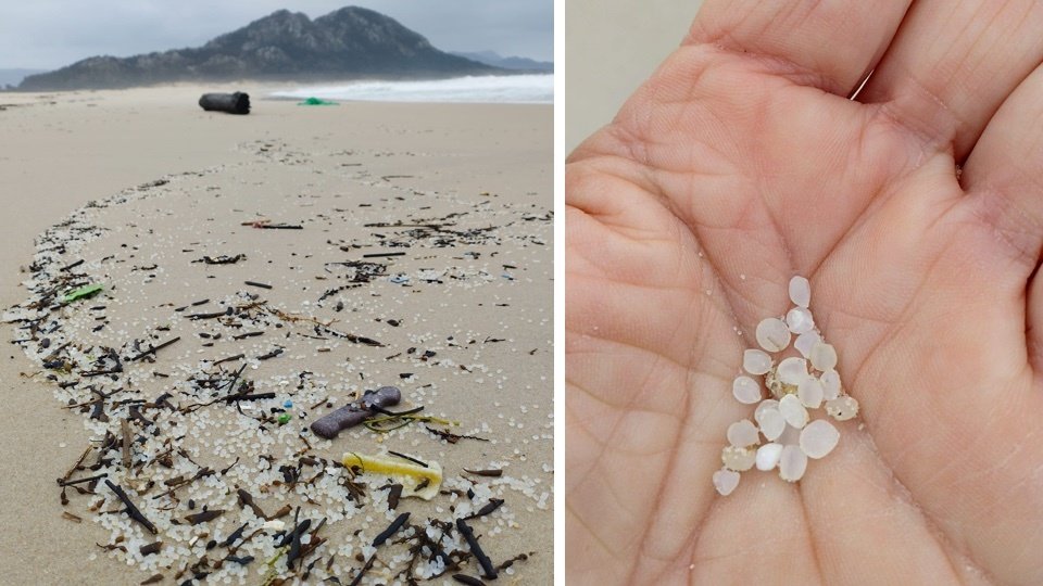 So close! Yesterday @EP_Environment adopted a strong proposal to regulate the plastic pellet supply chain, plugging a huge source of #microplastics into the sea 🙂 But...the proposal still includes exemptions for the biggest players in the industry 😔 seas-at-risk.org/press-releases…