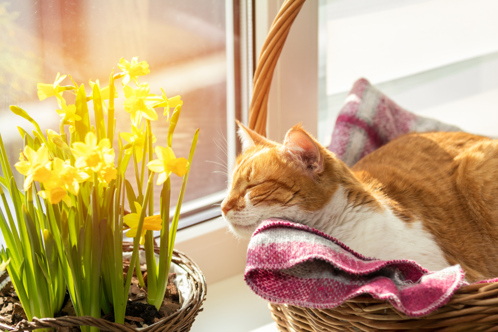 Spring is officially here...it's time to start preparing your home for the upcoming warmer months. spr.ly/6011kxjbW