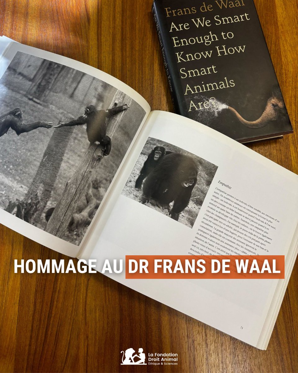 🕊️ C’est avec une grande tristesse que nous avons appris le décès du Dr Frans de Waal. Cet éthologue néerlandais a contribué à faire connaitre la complexité des comportements et des émotions des animaux, en particulier chez nos plus proches cousins : les chimpanzés et les…