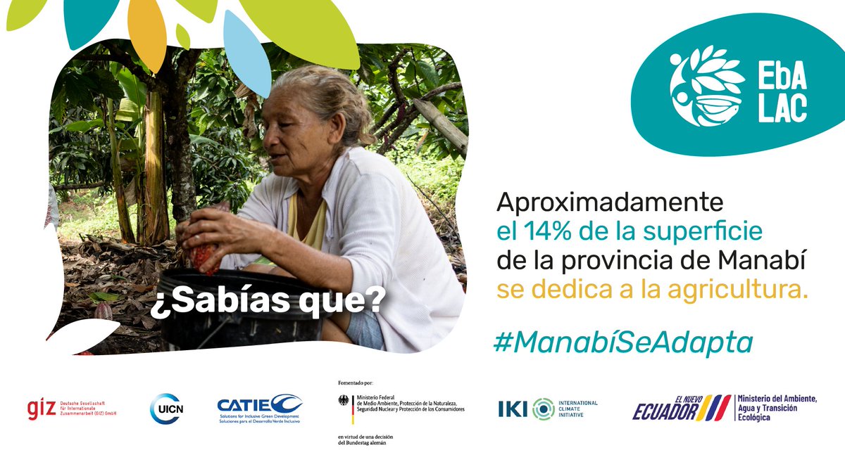 🌿👏🏽Los eventos climáticos extremos ponen en riesgo los recursos y medios de vida de las familias campesinas. 

#ManabíSeAdapta con el Programa #EbALAC construyendo nuestro futuro junto a la naturaleza  @Ambiente_Ec @CATIEOficial @uicn_conserva @MAATE_Zonal4 @GIZEcuador @gizcr1