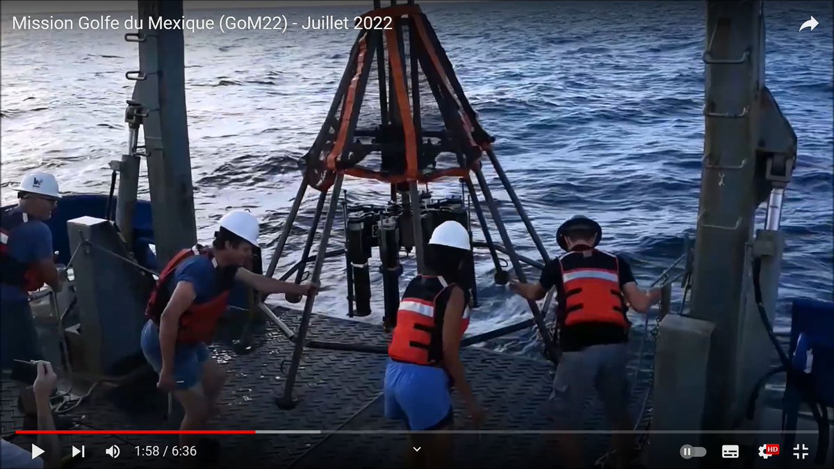 Nice video of a field campaign 🌊 Our LSCE/OCEANIS colleagues @Ferreira_Eva7 Christophe Rabouille & Bruno Bombled extracting samples in the Gulf of Mexico on the Research Vessel Savannah with their @GeorgiaTech partners @GeorgiaStateU 📽️tinyurl.com/35n9dwre Editing: Edouard